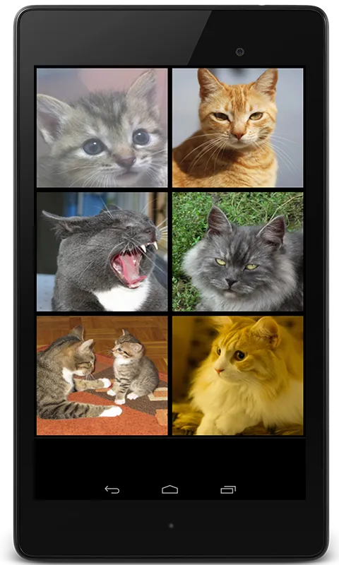 Cat Sounds for Cat | Indus Appstore | Screenshot