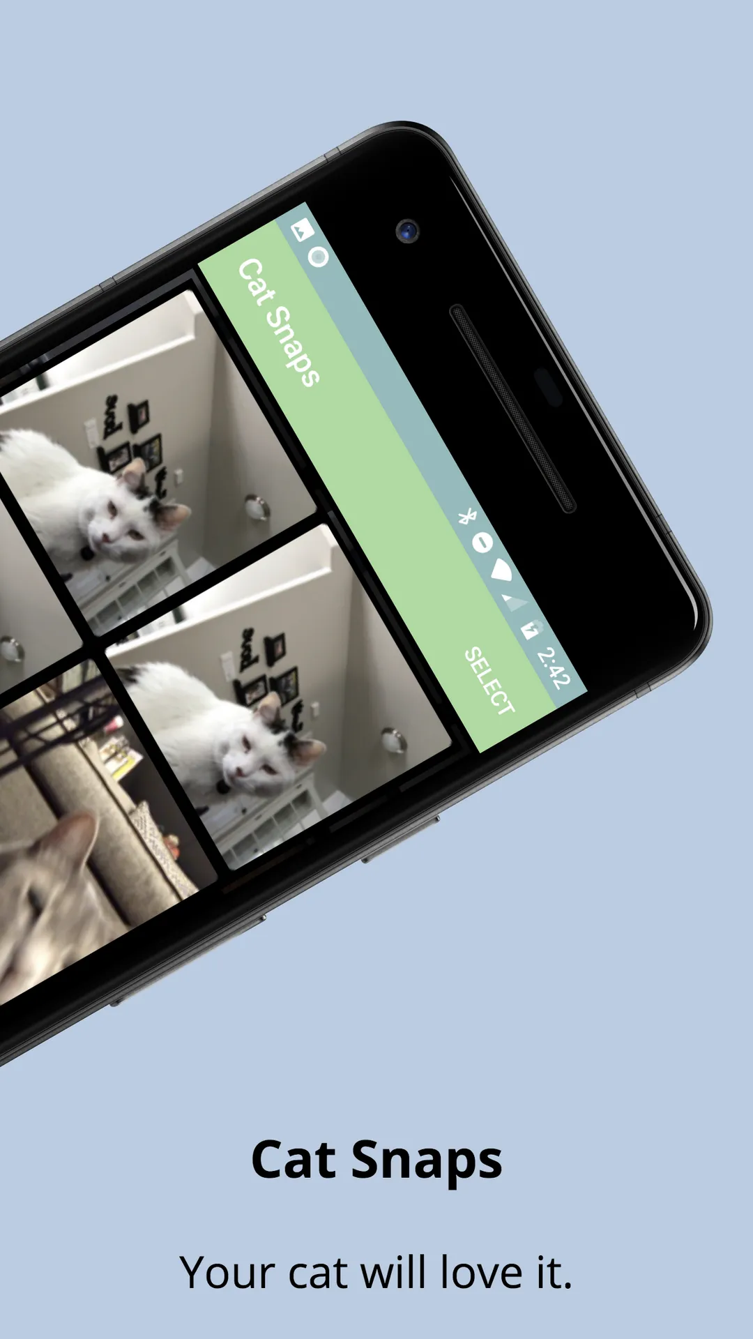 Cat Snaps - Make Cat Selfies | Indus Appstore | Screenshot