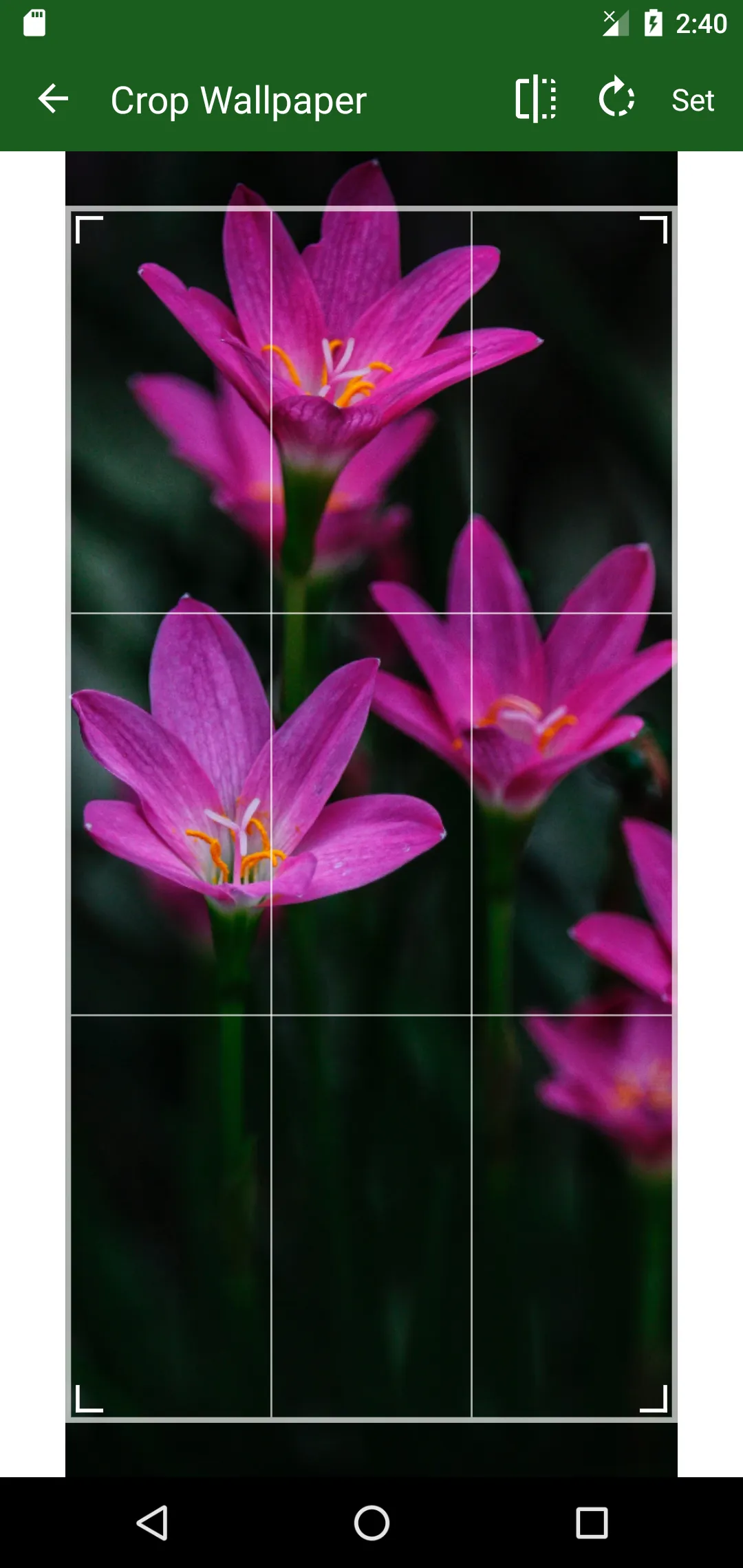 Flower Wallpaper | Indus Appstore | Screenshot