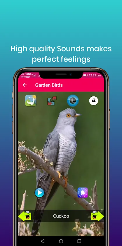 100 Bird sounds | Indus Appstore | Screenshot