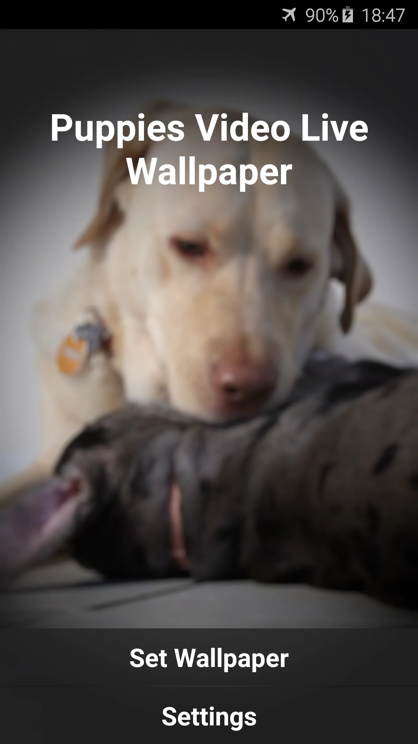 Puppies Video Live Wallpaper | Indus Appstore | Screenshot