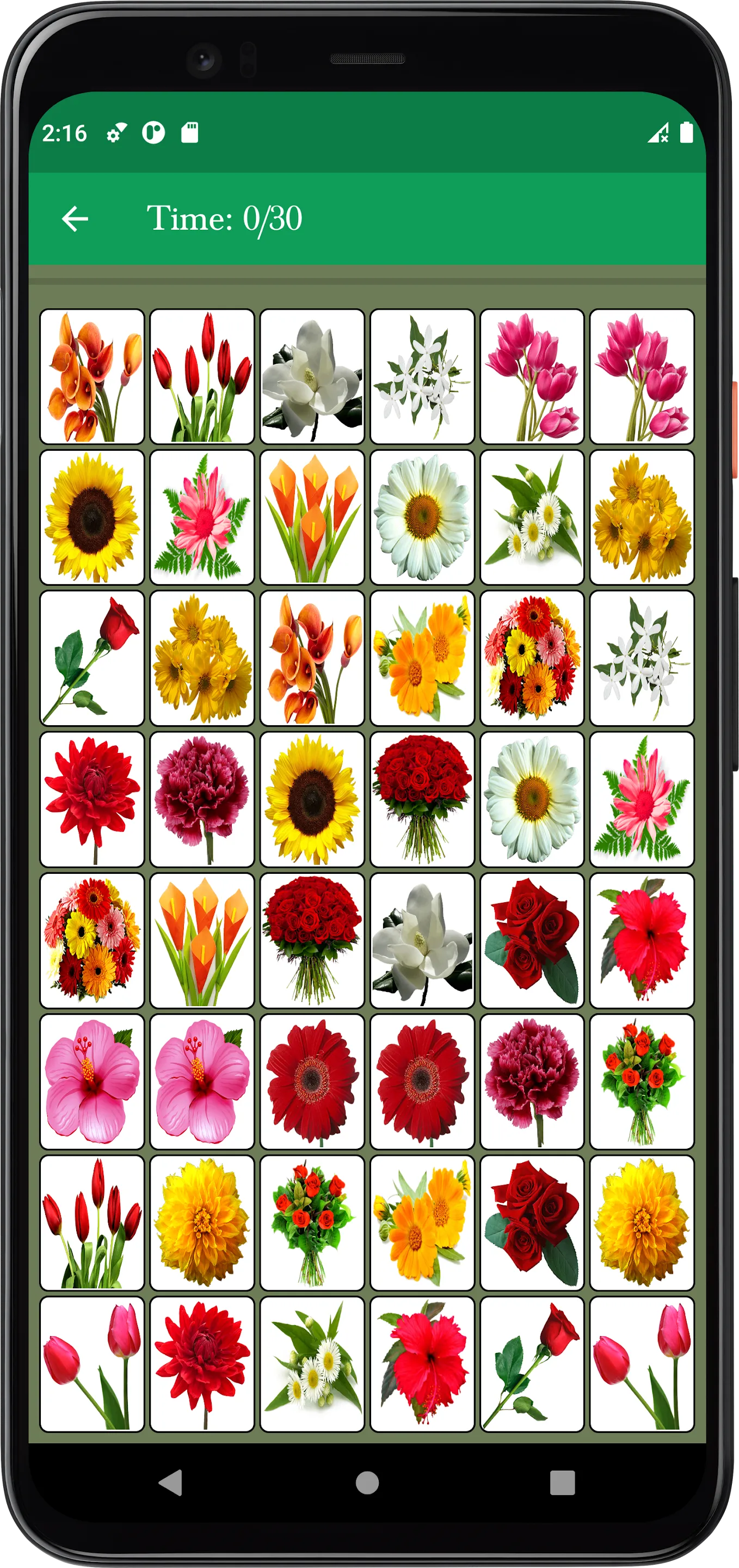 Flower Memory Matching Game | Indus Appstore | Screenshot