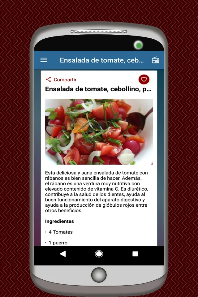 Recetas de Ensaladas | Indus Appstore | Screenshot