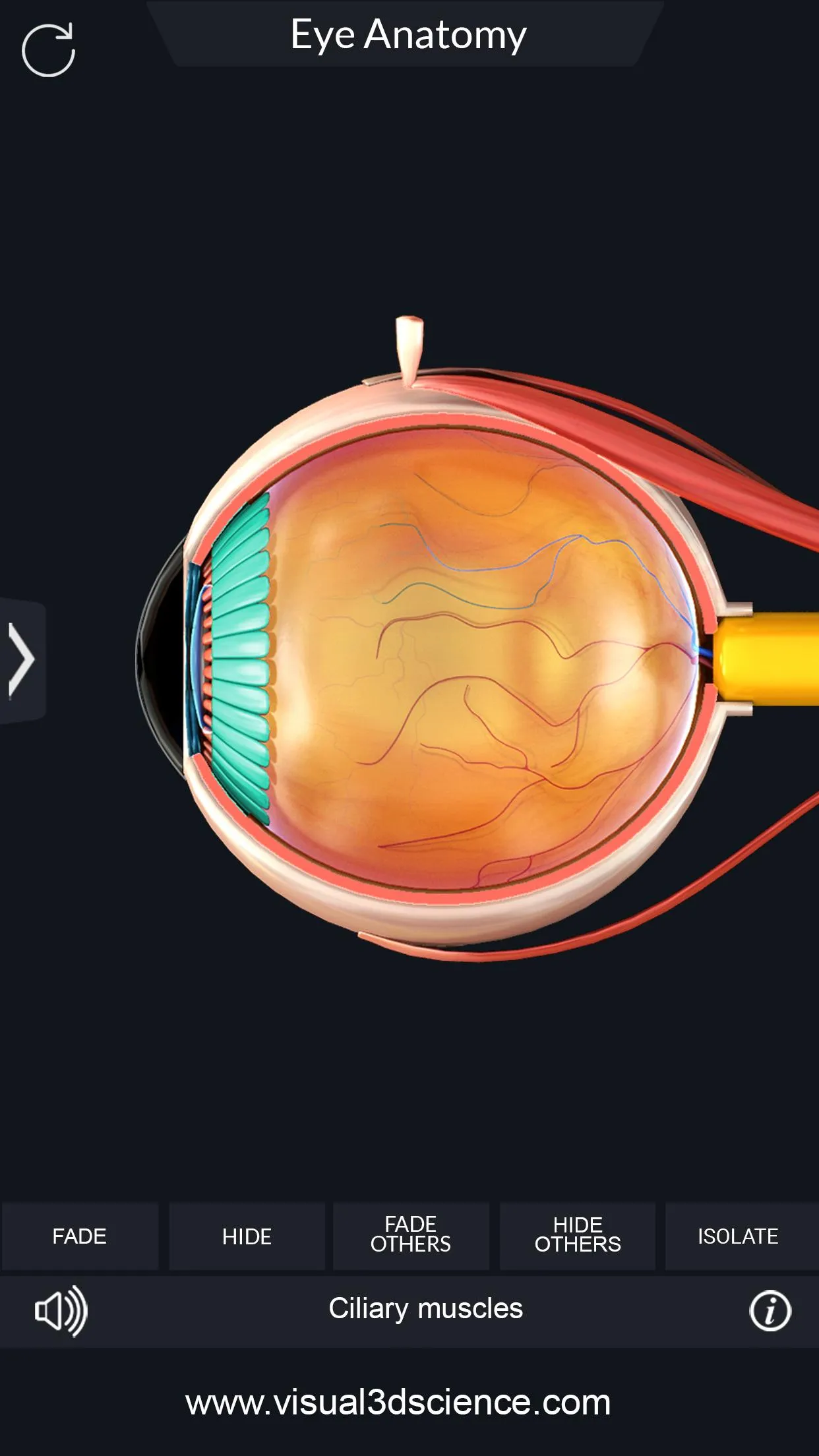 My Eye Anatomy | Indus Appstore | Screenshot