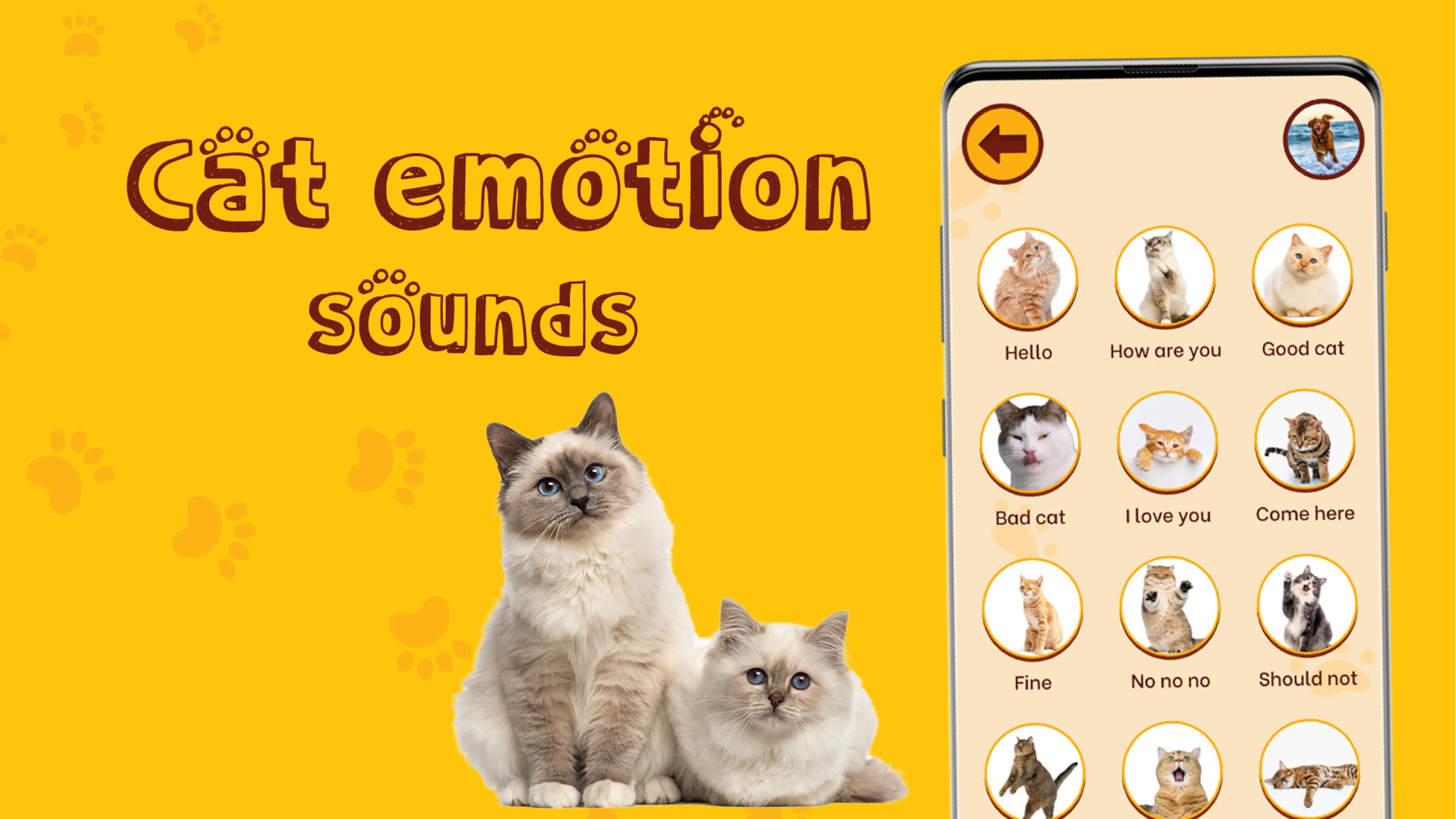 Translate for Animal: Cat, Dog | Indus Appstore | Screenshot