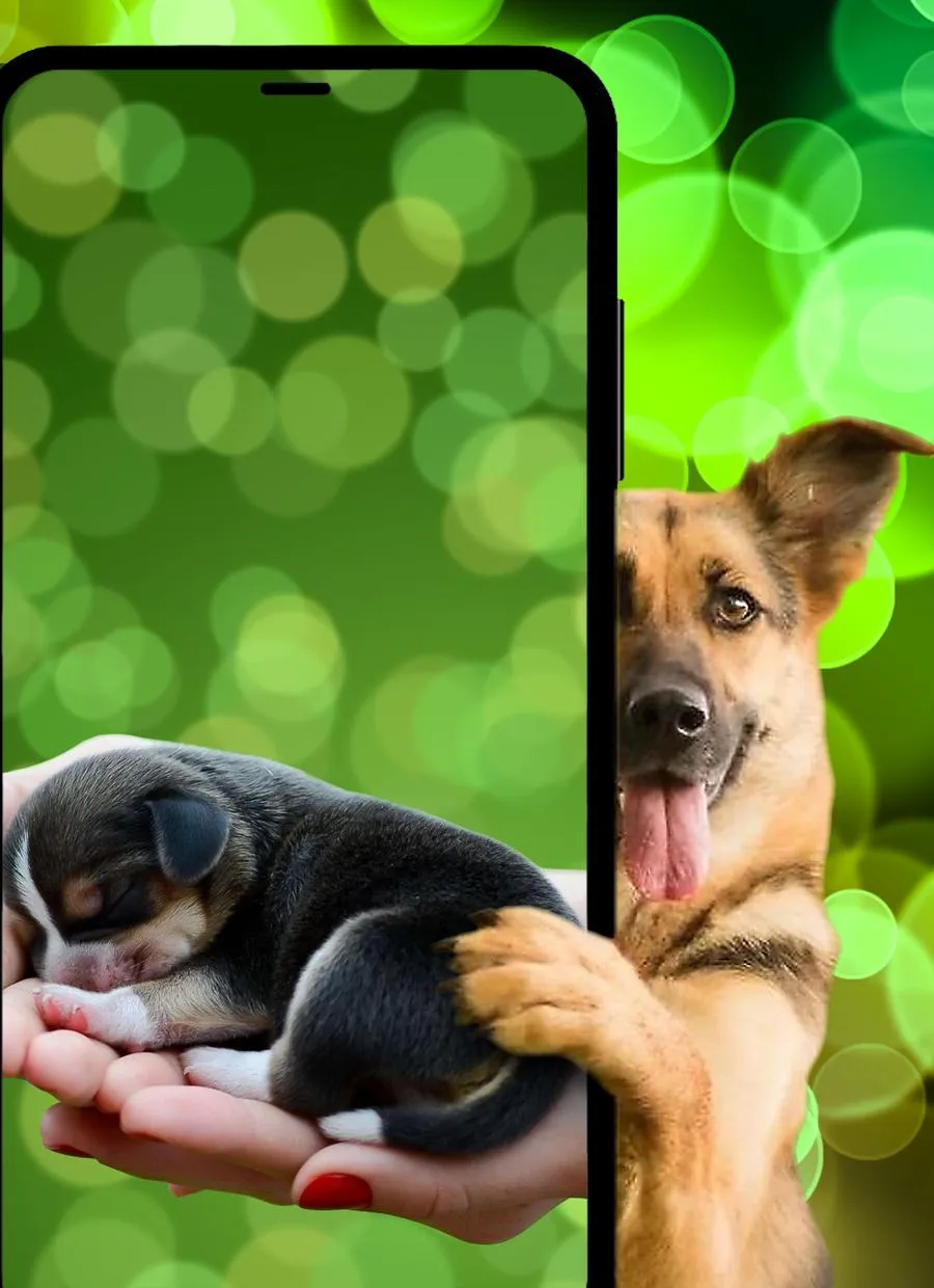 Dogs & puppies Wallpapers HD+ | Indus Appstore | Screenshot