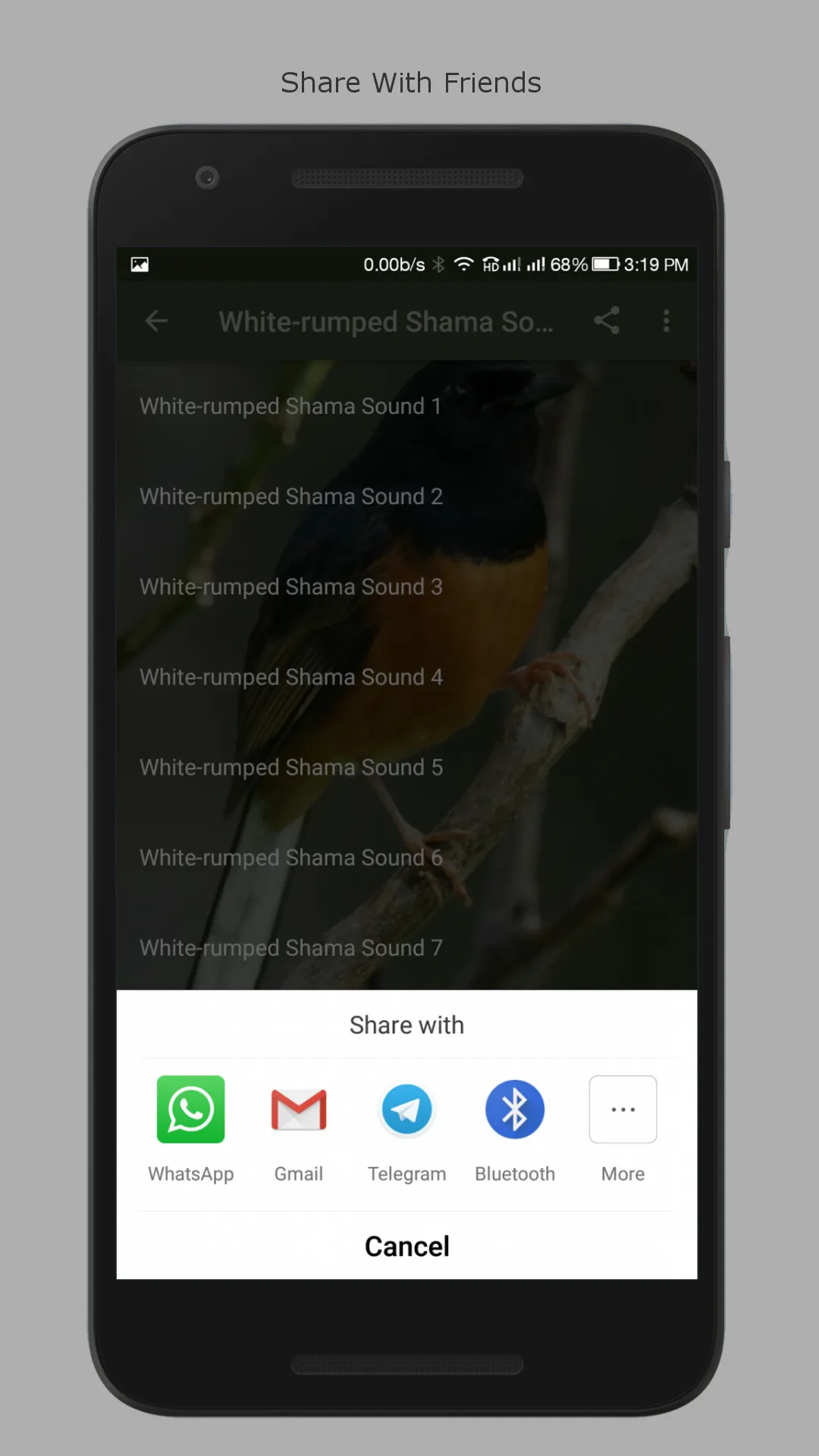 White-rumped Shama Sounds | Indus Appstore | Screenshot