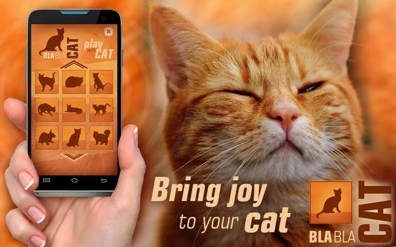 BlaBlaCat: Cats Sounds | Indus Appstore | Screenshot