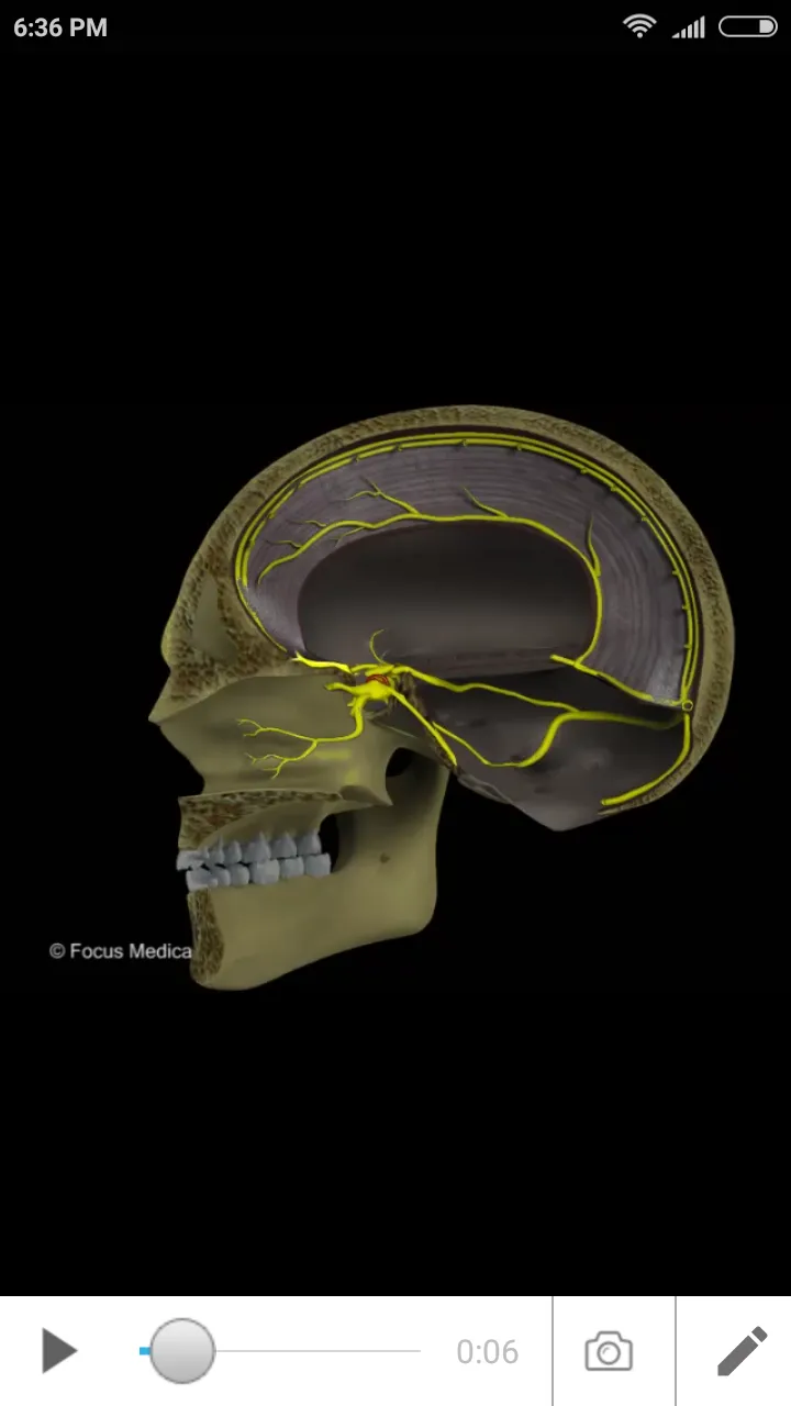 NEUROANATOMY - Digital Atlas | Indus Appstore | Screenshot