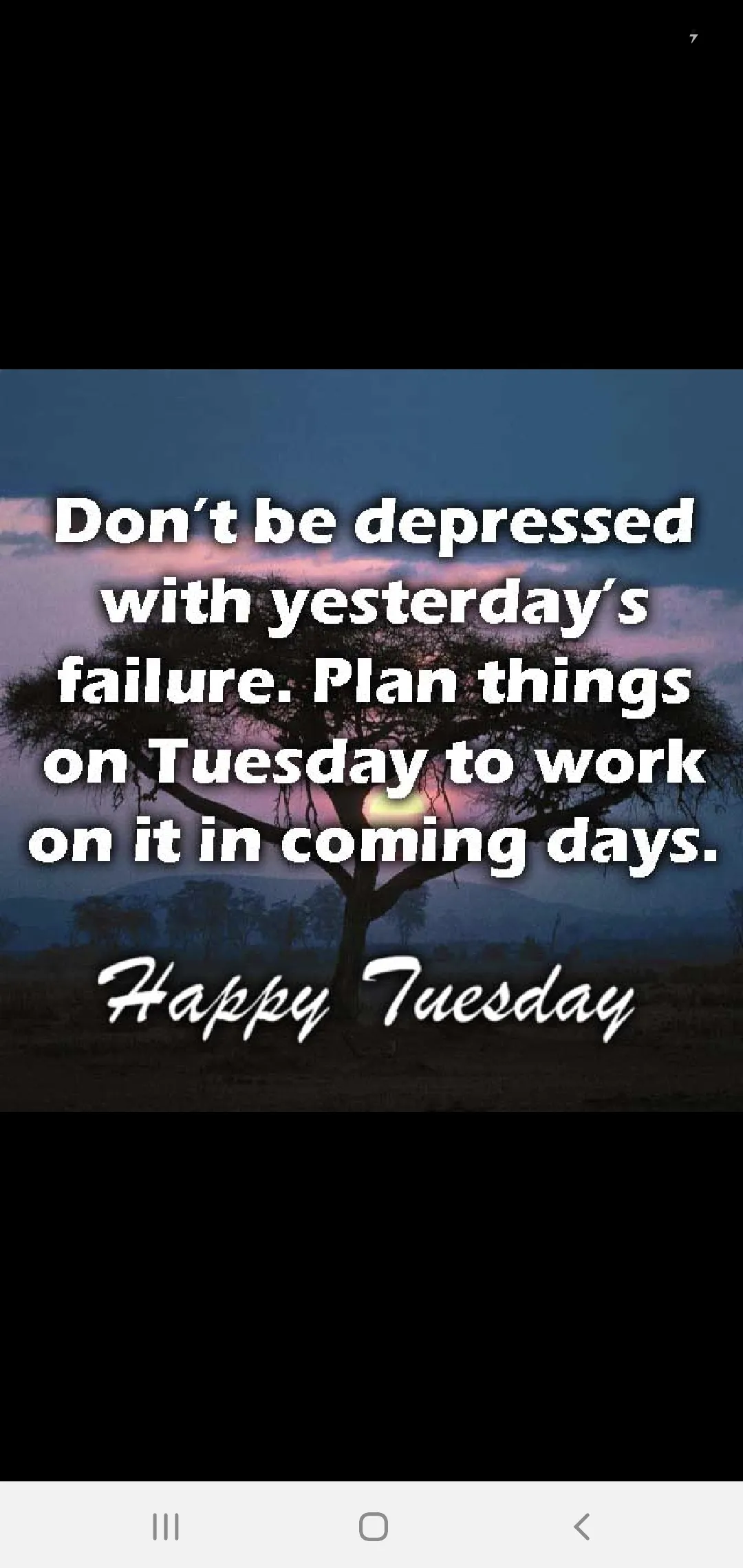 HAVE A SPLENDID TUESDAY | Indus Appstore | Screenshot