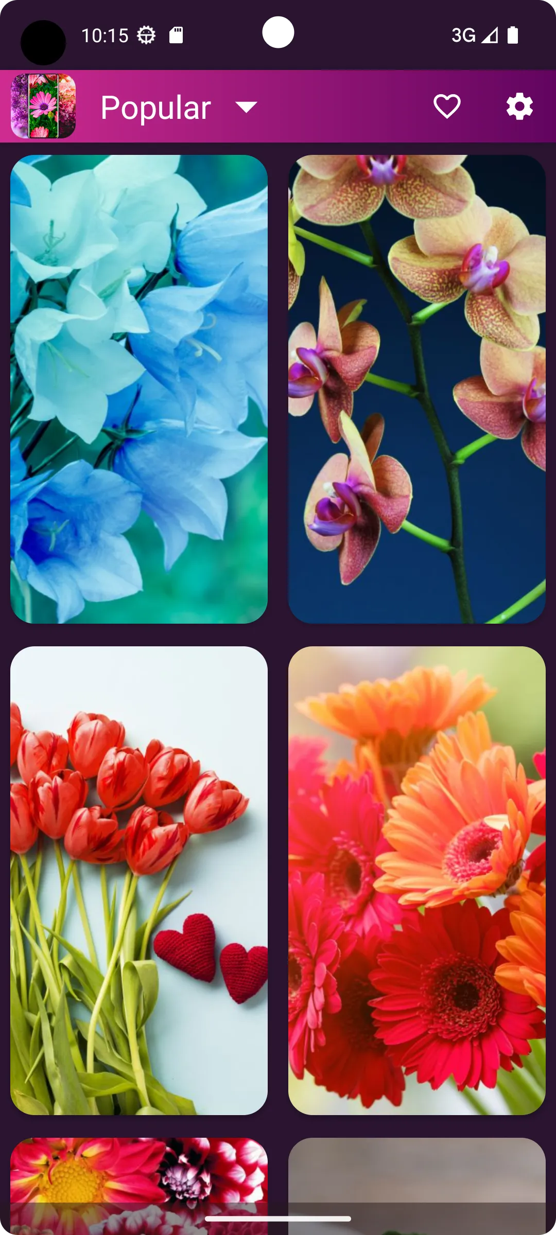 Flower Wallpapers - Flowrify | Indus Appstore | Screenshot