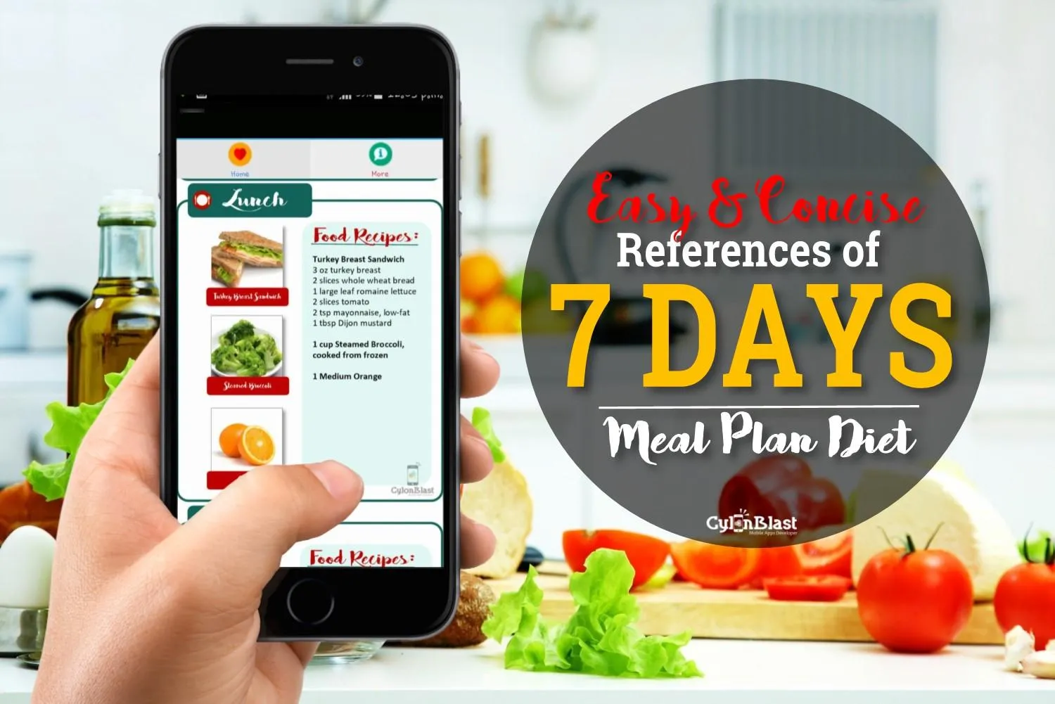 SUPER DASH DIET MEAL PLAN | Indus Appstore | Screenshot