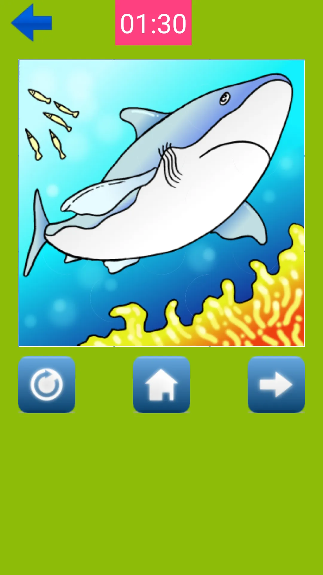 Sea Animal Puzzle | Indus Appstore | Screenshot