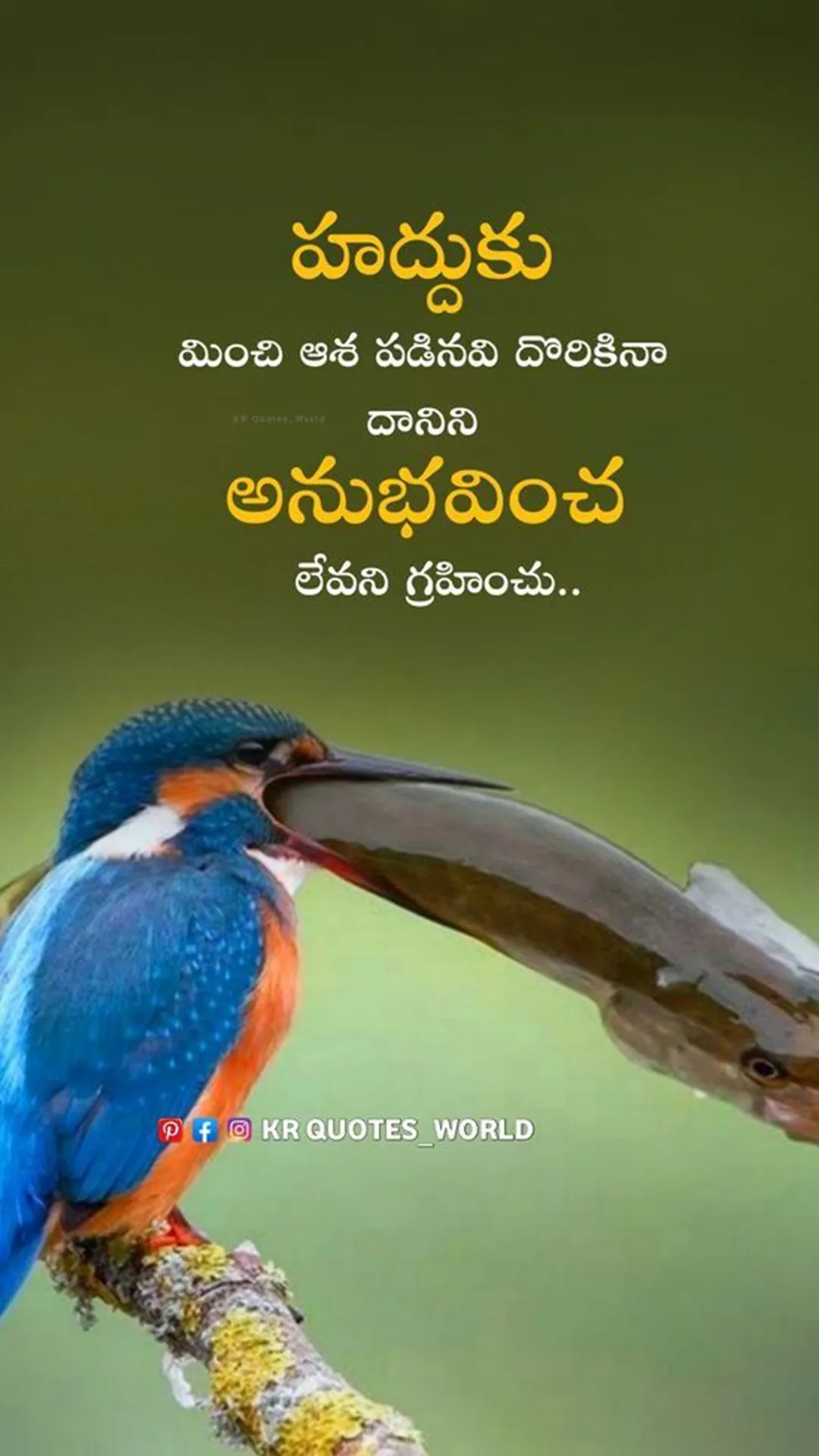 Telugu Inspiration Quotations | Indus Appstore | Screenshot