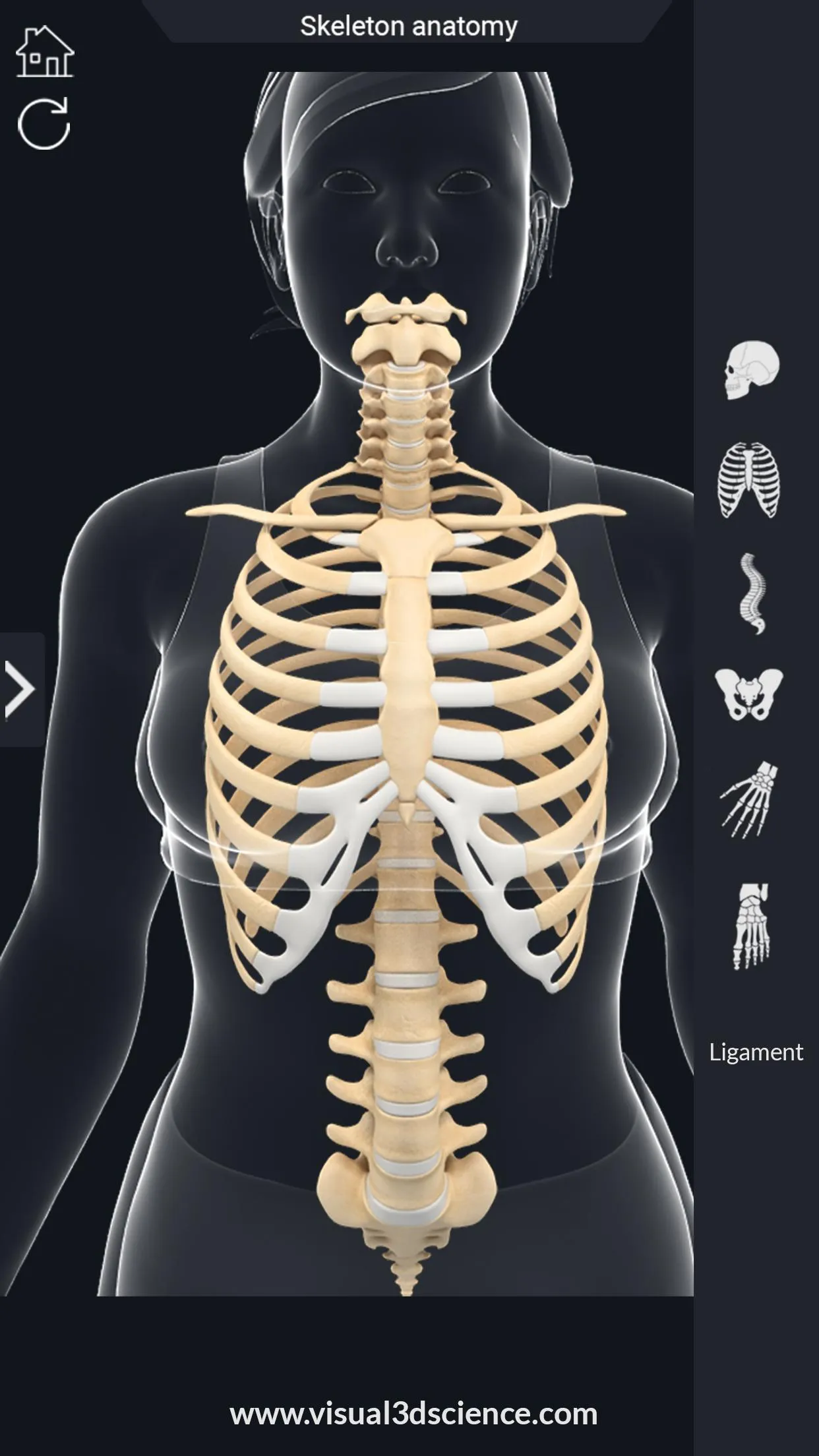 Skeleton Anatomy Pro. | Indus Appstore | Screenshot