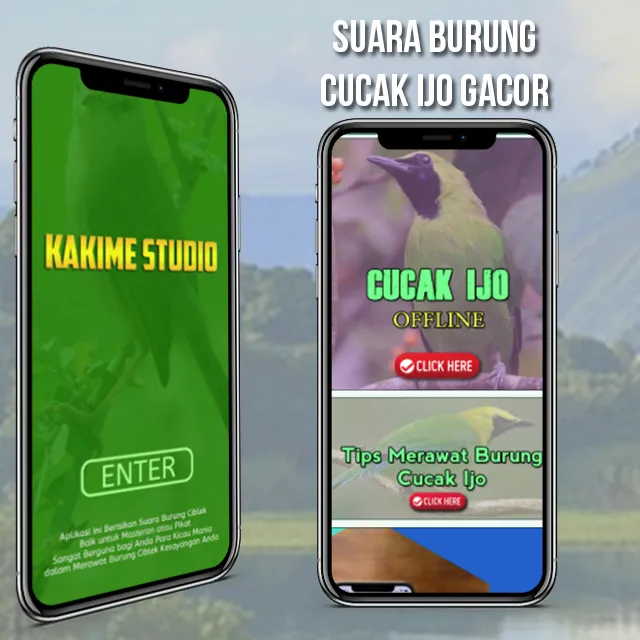 Masteran Cucak Ijo Gacor | Indus Appstore | Screenshot