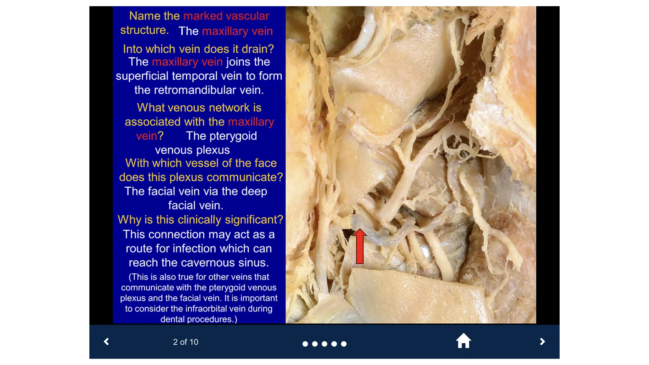 Head & Neck Anatomy-SecondLook | Indus Appstore | Screenshot