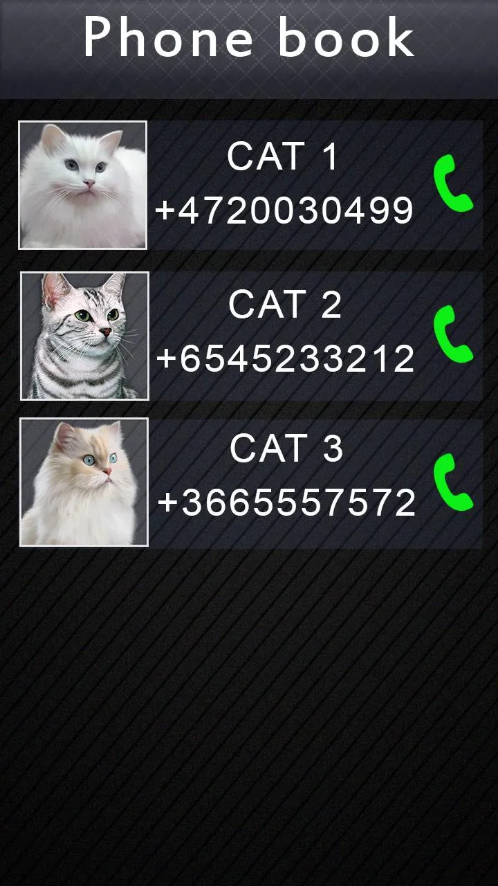 Fake Video Call Cat | Indus Appstore | Screenshot