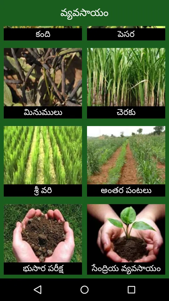 Vyavasayam Telugu Agriculture | Indus Appstore | Screenshot