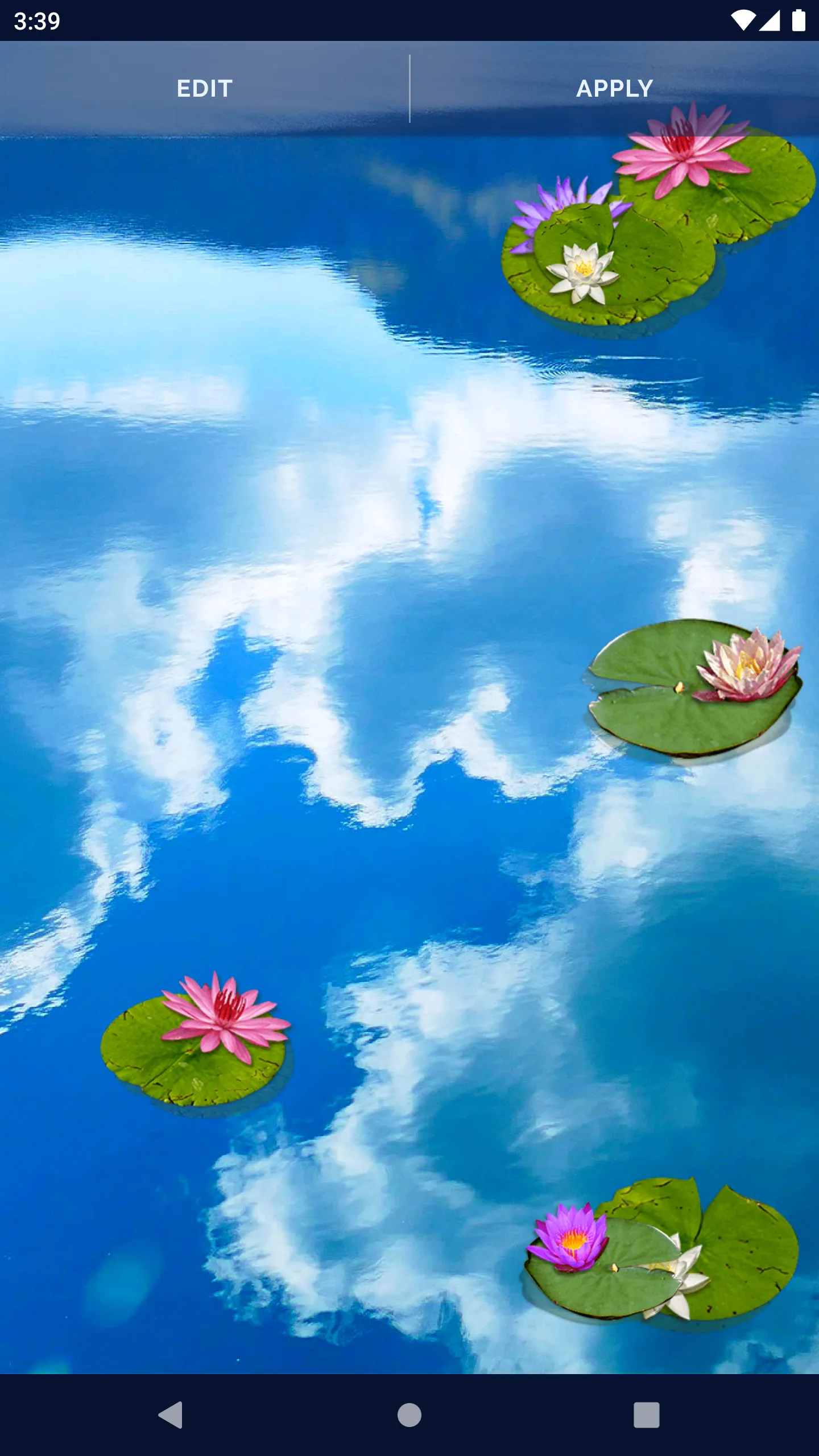 Water Lily Live Wallpaper | Indus Appstore | Screenshot