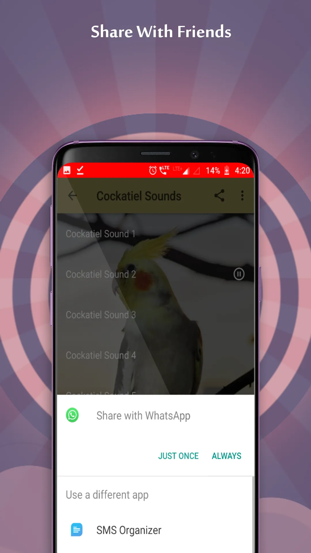 Cockatiel Sounds | Indus Appstore | Screenshot