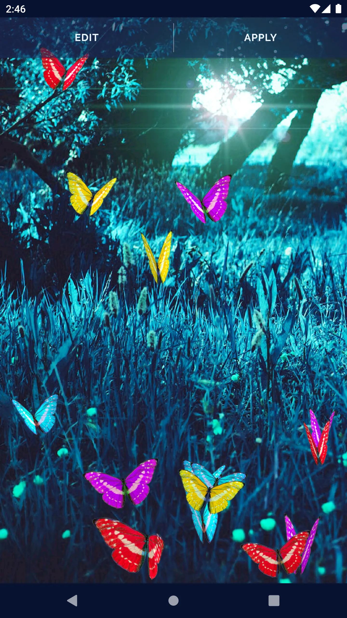 Butterfly Live Wallpaper | Indus Appstore | Screenshot