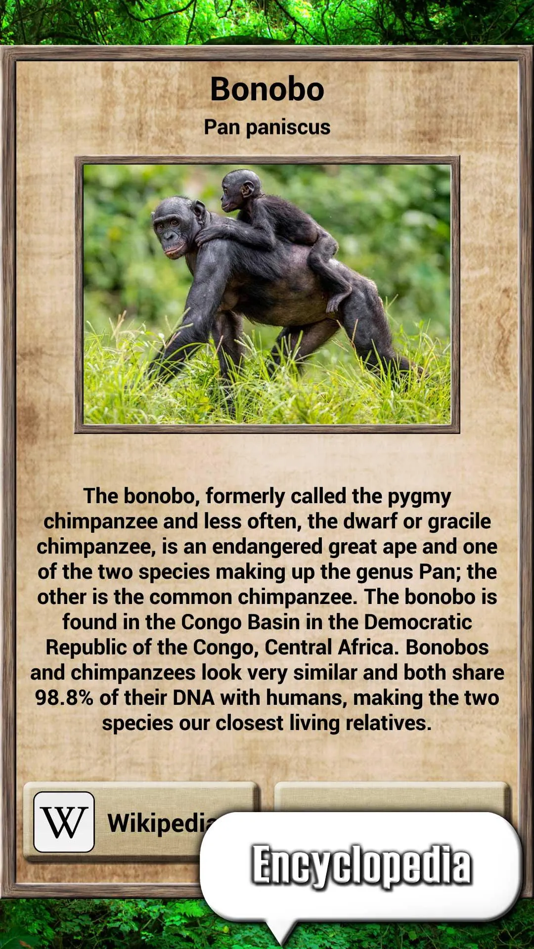 Animal Kingdom - Quiz Game | Indus Appstore | Screenshot