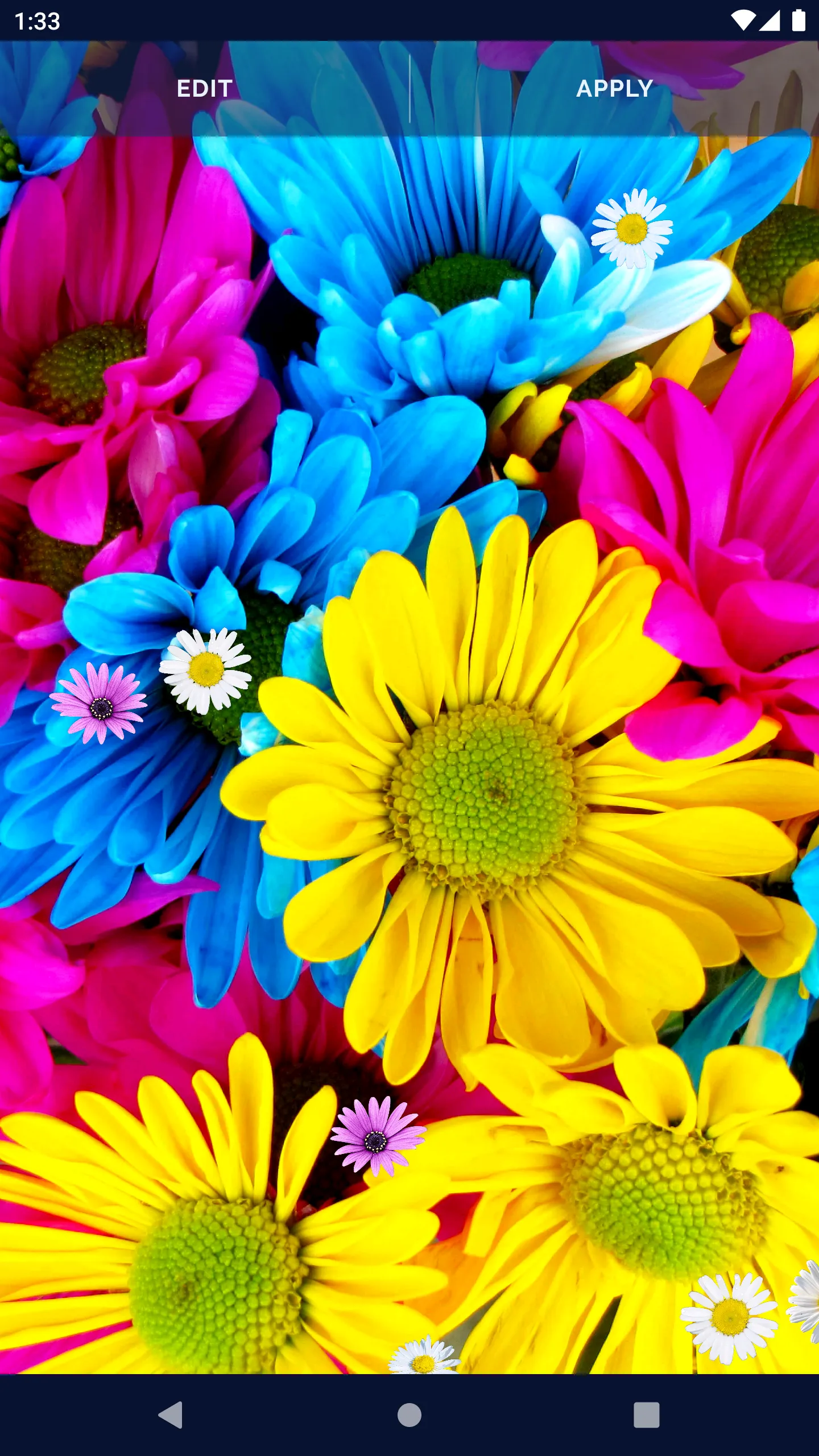 3D Daisy Spring Live Wallpaper | Indus Appstore | Screenshot