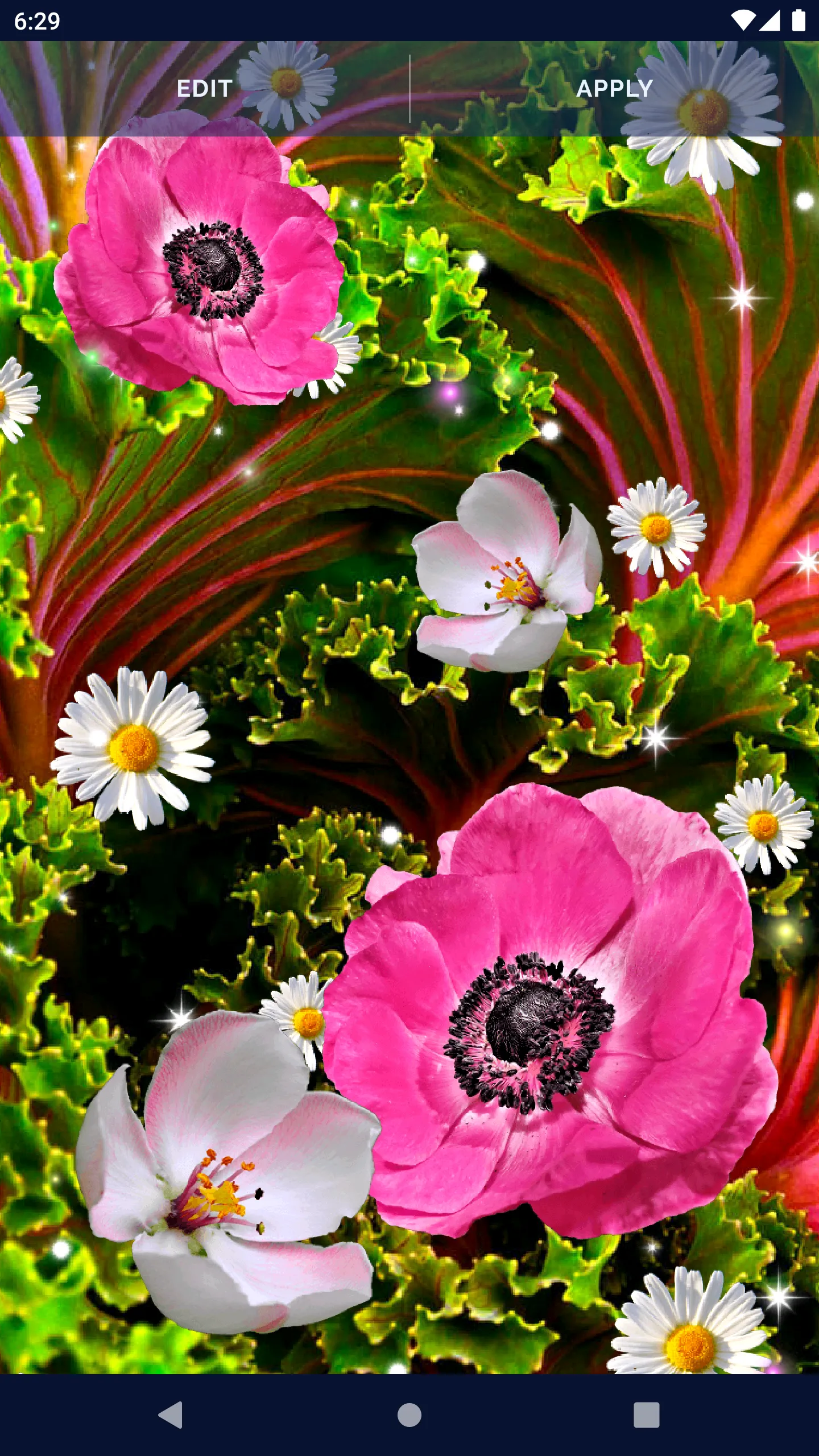 Pink Flower Live Wallpaper | Indus Appstore | Screenshot