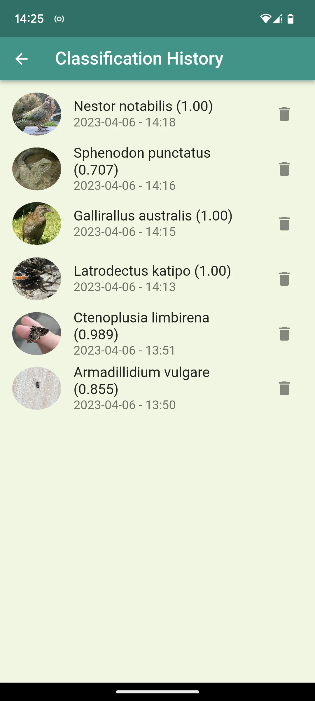 Aotearoa Species Classifier | Indus Appstore | Screenshot