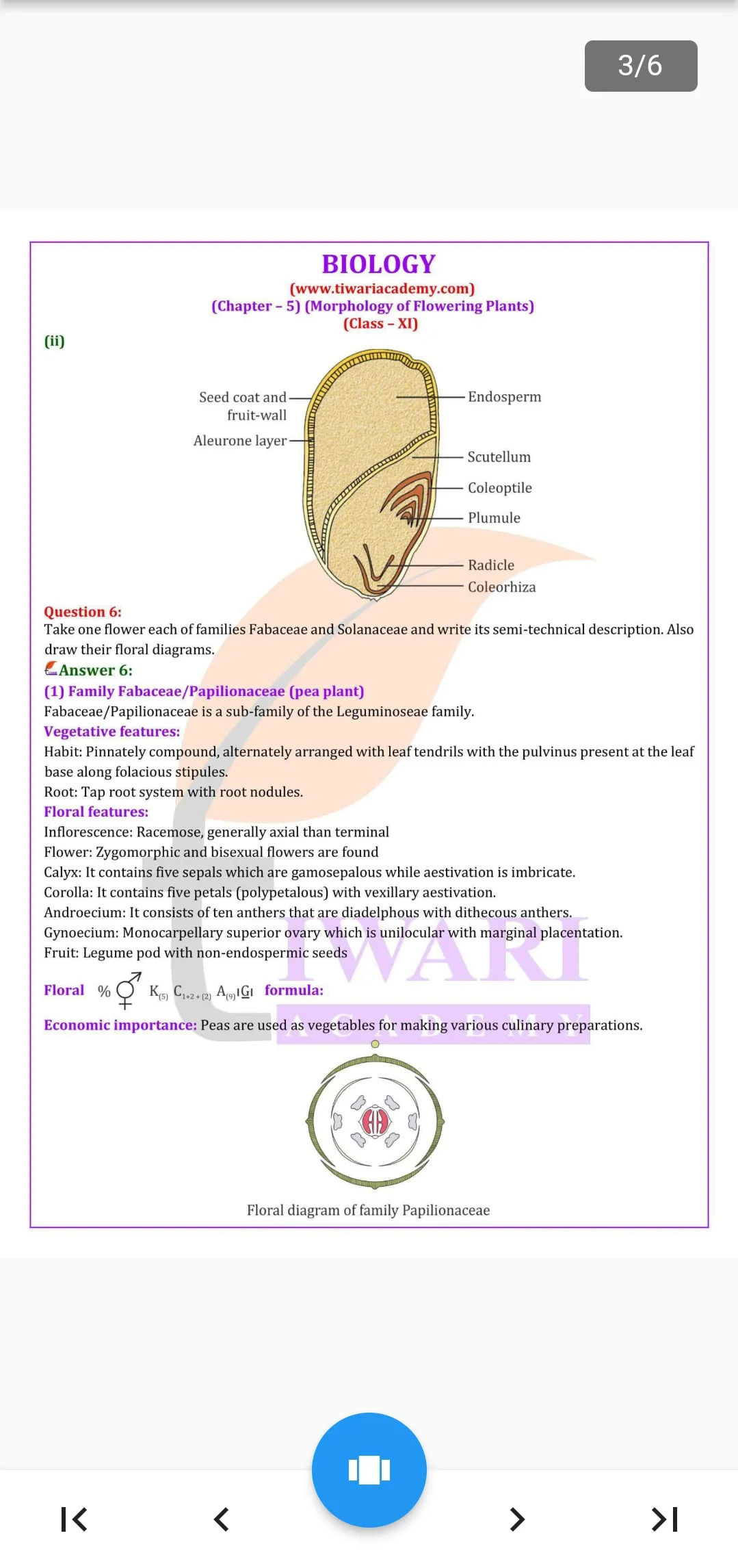 Class 11 Biology for 2024-25 | Indus Appstore | Screenshot