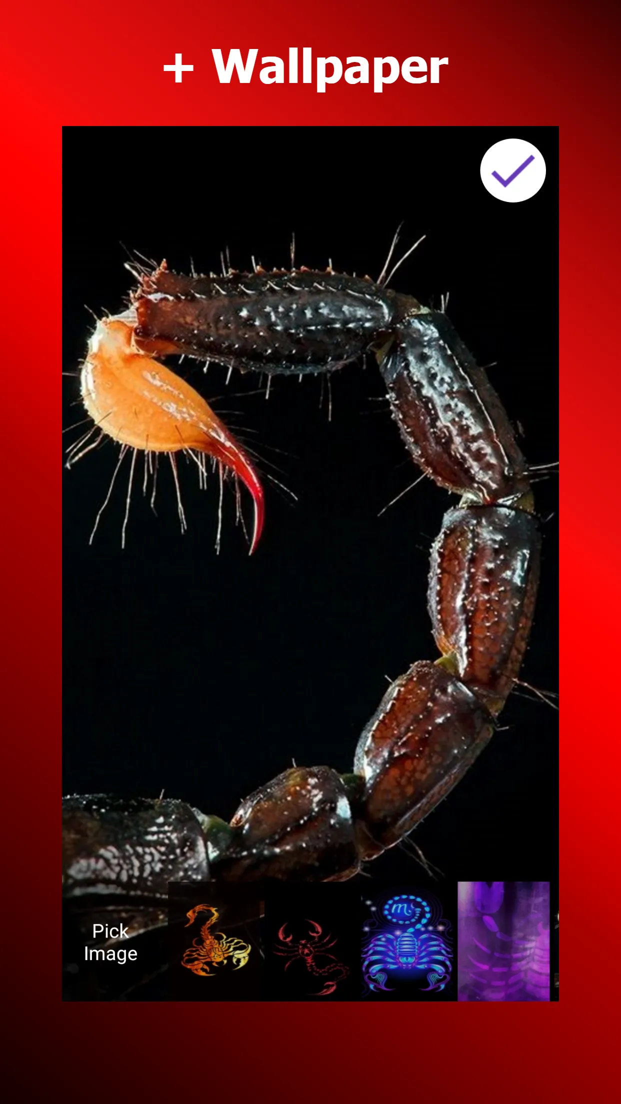 Scorpion Wallpapers | Indus Appstore | Screenshot