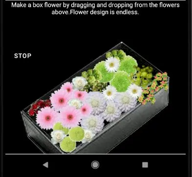 Flower Arrangement_3 | Indus Appstore | Screenshot