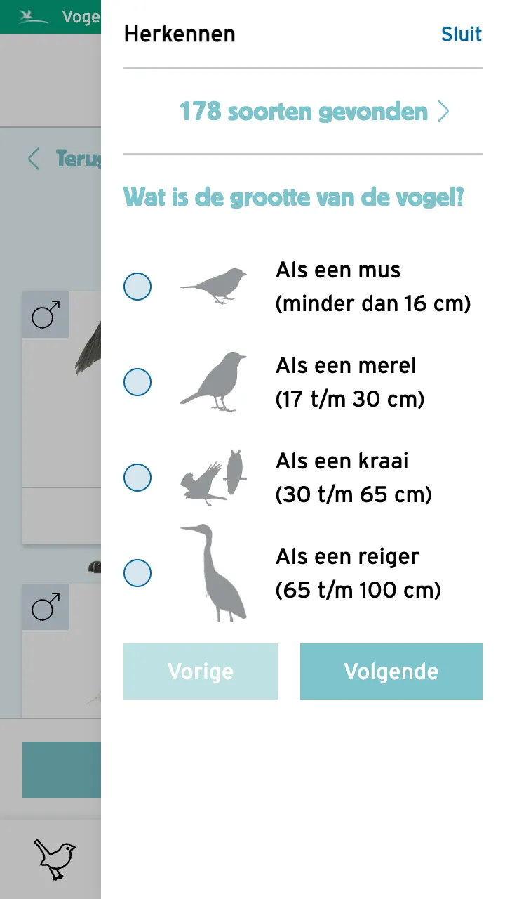 Wadvogels | Indus Appstore | Screenshot