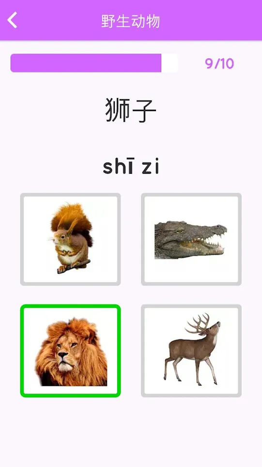 Learn Chinese for beginners | Indus Appstore | Screenshot