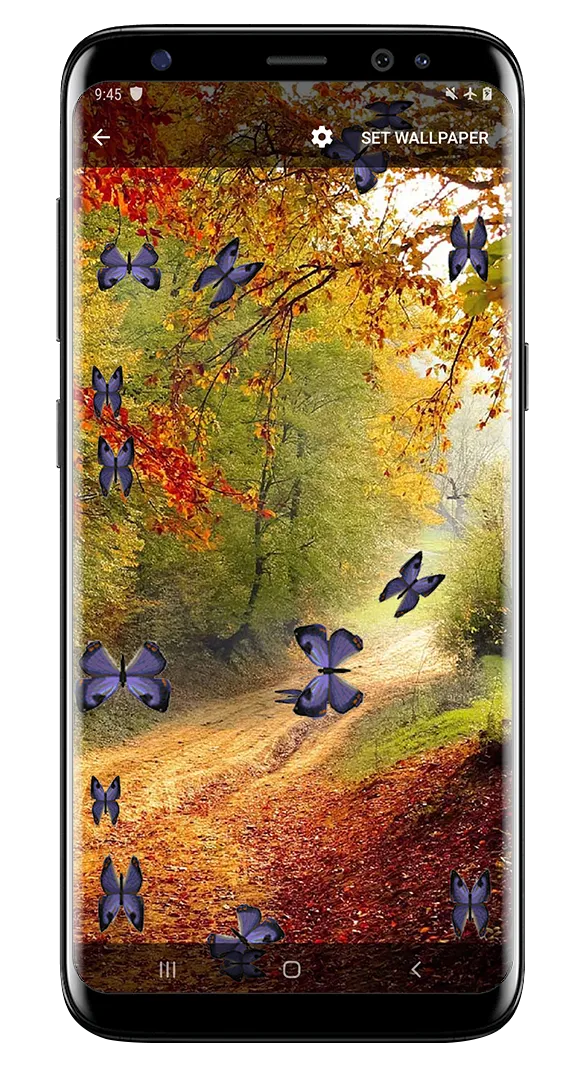 Butterfly and Blossom live wal | Indus Appstore | Screenshot