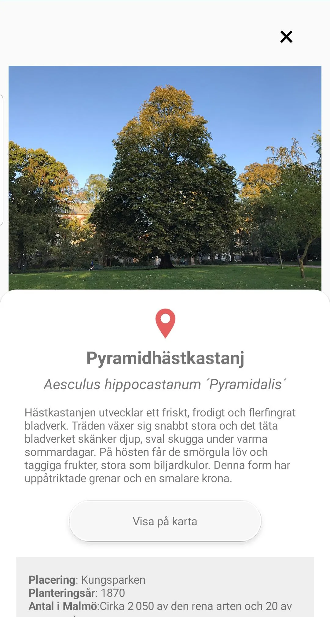 Träd i Malmö | Indus Appstore | Screenshot