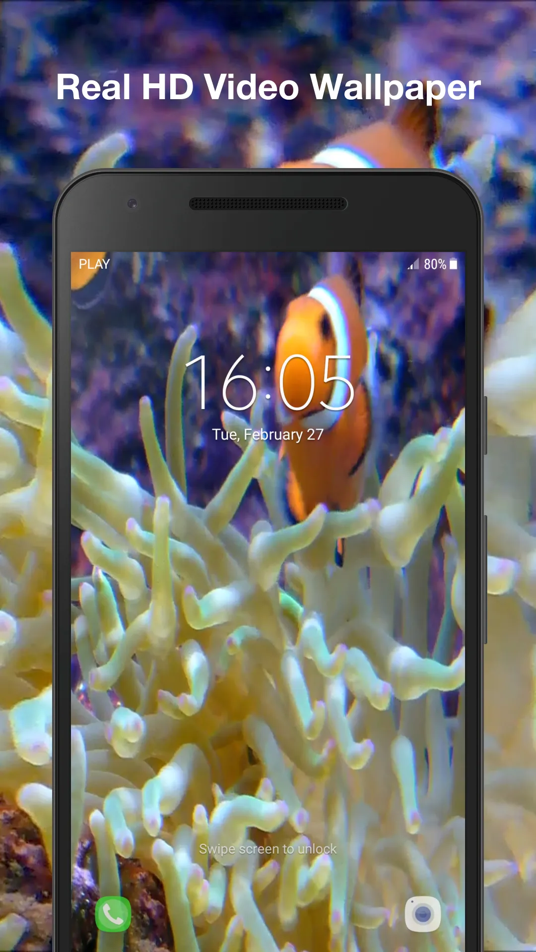 Real Fish Live Wallpaper | Indus Appstore | Screenshot