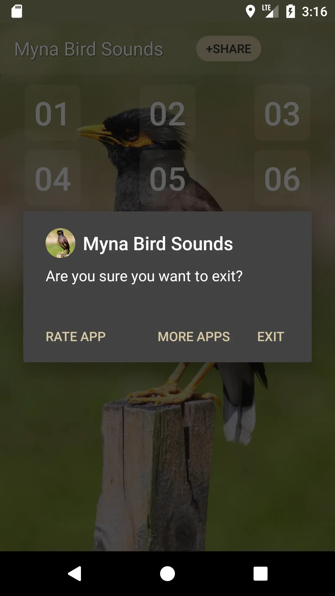 Myna Bird Sound Ringtones | Indus Appstore | Screenshot