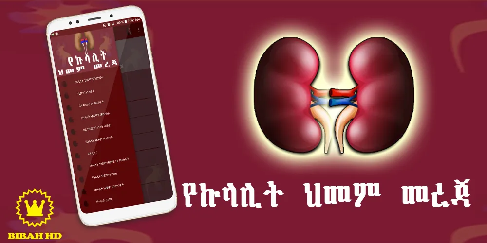 Amharic Kidney Disease | Indus Appstore | Screenshot