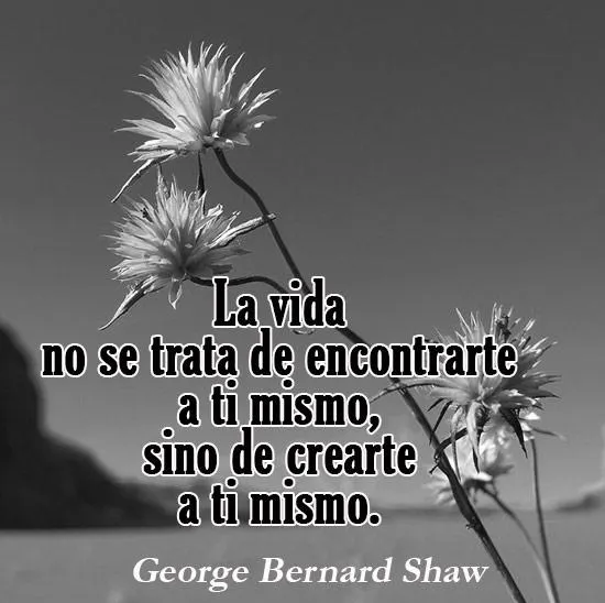 Frases sobre la Vida | Indus Appstore | Screenshot