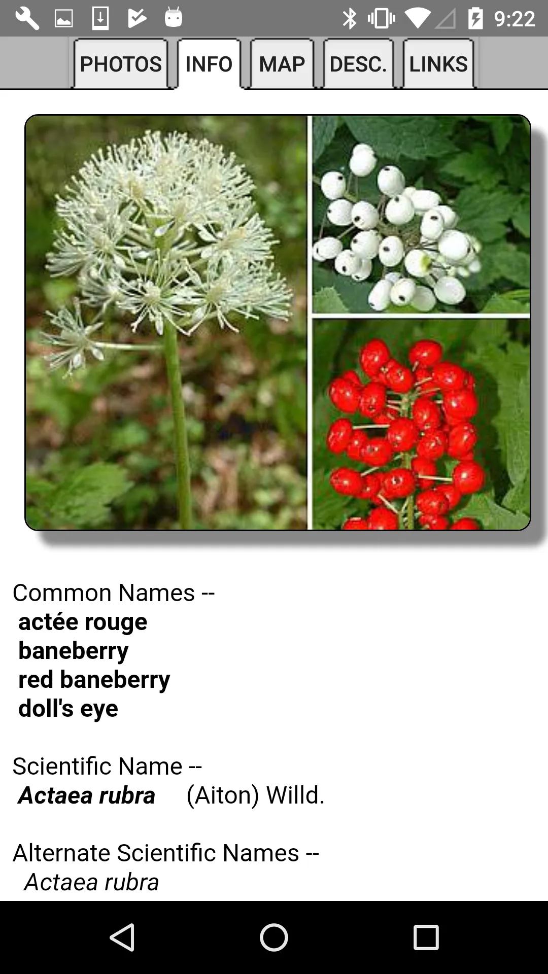 Québec Wildflowers | Indus Appstore | Screenshot