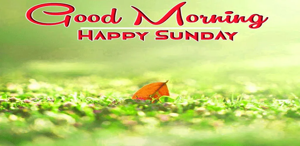 Happy Sunday GIF Greeting. | Indus Appstore | Screenshot