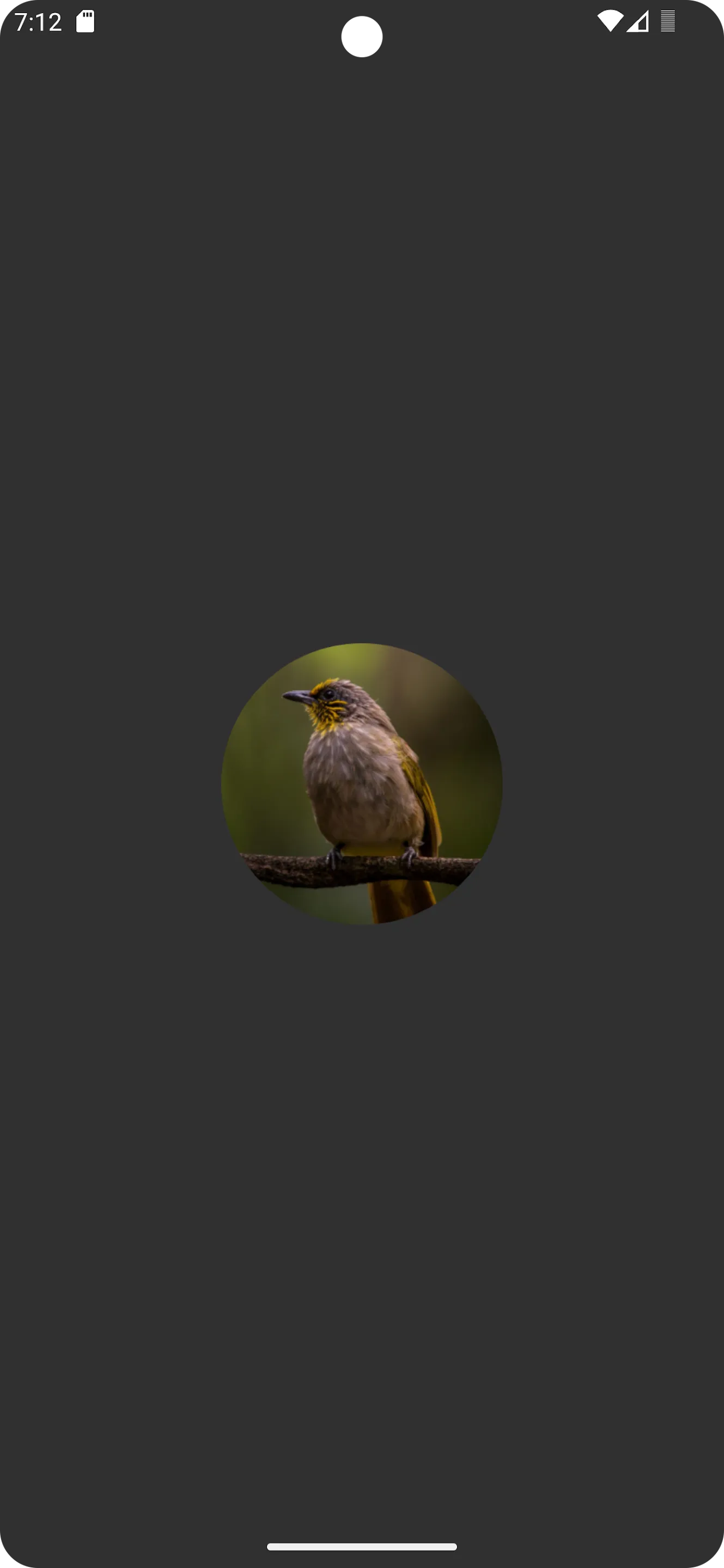 Stripe-throated Bulbul Sounds | Indus Appstore | Screenshot