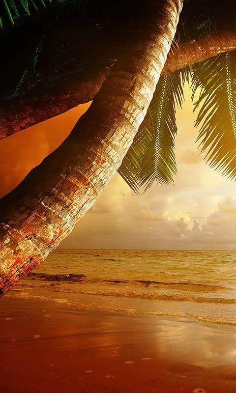 Beach Sunset Live Wallpaper | Indus Appstore | Screenshot