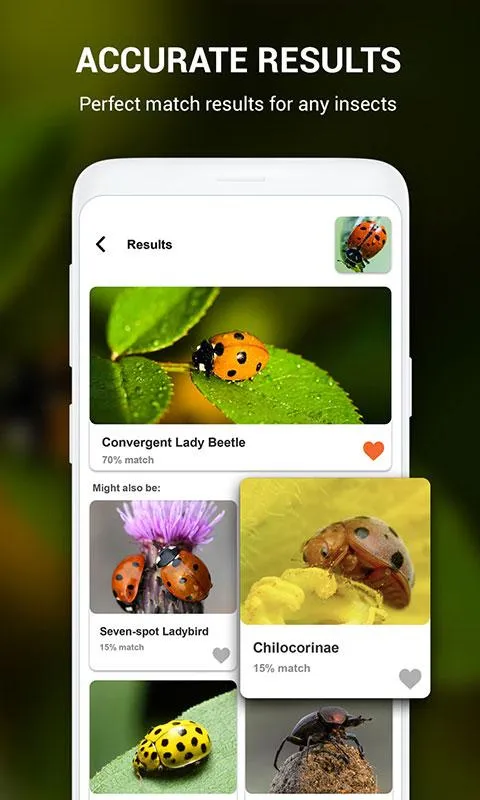 Insect identifier by Photo Cam | Indus Appstore | Screenshot