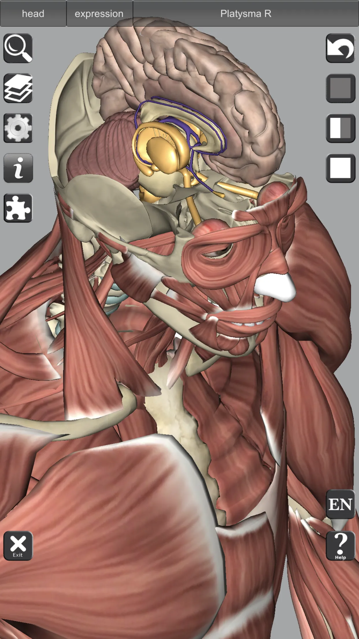 3D Bones and Organs (Anatomy) | Indus Appstore | Screenshot