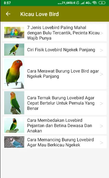 Suara Kicau Love Bird Juara | Indus Appstore | Screenshot