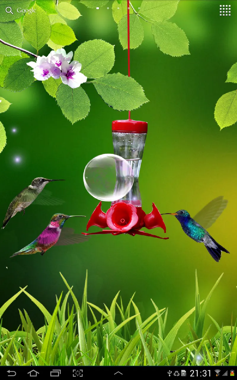 Hummingbirds wallpaper | Indus Appstore | Screenshot