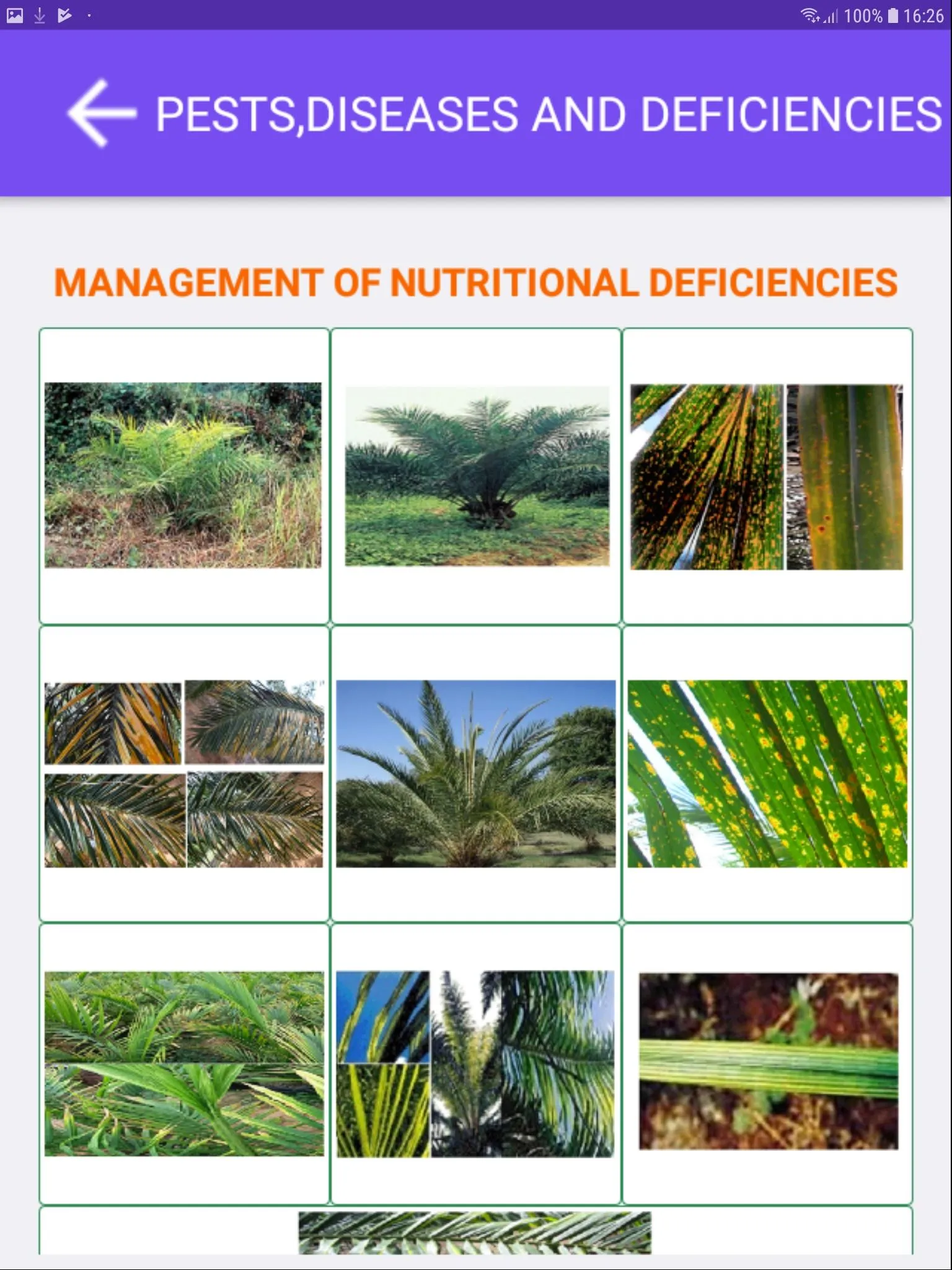 Oil Palm Crop Doctor | Indus Appstore | Screenshot